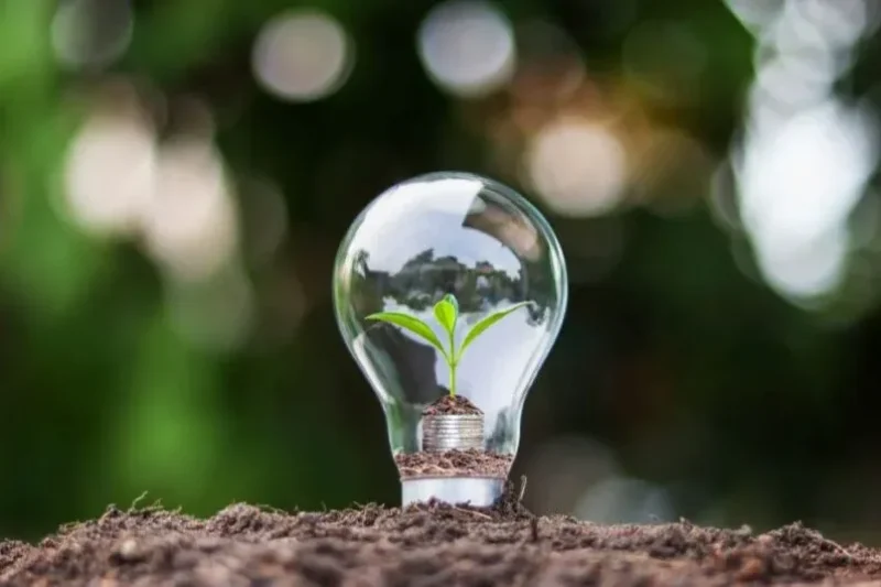 What It Means to Be an Impactful Leader and Empower Others